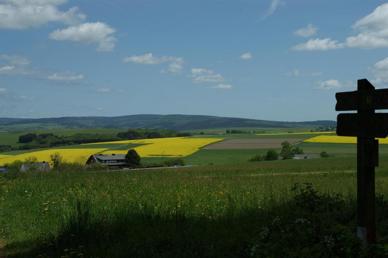 Klein'S Hochwaldscheune Pellingen Экстерьер фото